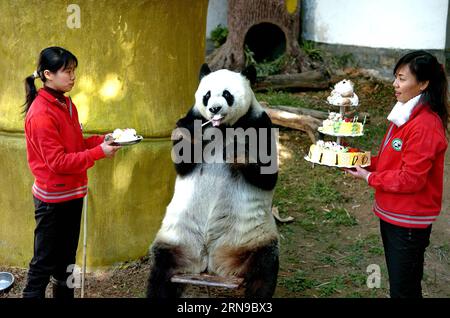 (151128) -- FUZHOU, 2015 -- Aktenfoto, aufgenommen am 18. Dezember 2005, zeigt, wie der Riese Panda basic einen Kuchen im Pandaforschungs- und Austauschzentrum in Fuzhou, der Hauptstadt der südöstlichen chinesischen Provinz Fujian, zu ihrem 25. Geburtstag isst. Ihr 35. Geburtstag feierte ich am 28. November 2015, was im menschlichen Alter etwa 130 Jahren entspricht. BASIC ist derzeit der älteste lebende Panda der Welt. Im Jahr 1987 besuchte BASIC den U.S. San Diego Zoo für Shows. Während ihres sechsmonatigen Aufenthalts in den Vereinigten Staaten zog sie rund 2,5 Millionen Besucher an und begeisterte viele Besucher durch ihre akrobatischen Auftritte. In 1990, sh Stockfoto