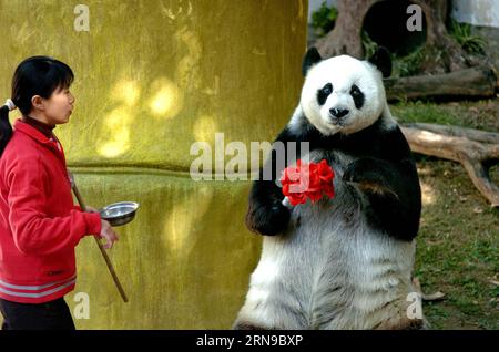 (151128) -- FUZHOU, 2015 -- das am 18. Dezember 2005 aufgenommene Aktenfoto zeigt, wie der Riese Panda basic die Zuschauer im Pandaforschungs- und Austauschzentrum in Fuzhou, der Hauptstadt der südöstlichen chinesischen Provinz Fujian, zu ihrem 25. Geburtstag grüßt. Ihr 35. Geburtstag feierte ich am 28. November 2015, was im menschlichen Alter etwa 130 Jahren entspricht. BASIC ist derzeit der älteste lebende Panda der Welt. Im Jahr 1987 besuchte BASIC den U.S. San Diego Zoo für Shows. Während ihres sechsmonatigen Aufenthalts in den Vereinigten Staaten zog sie rund 2,5 Millionen Besucher an und begeisterte viele Besucher durch ihre akrobatischen Auftritte. 1990 wurde sie geboren Stockfoto