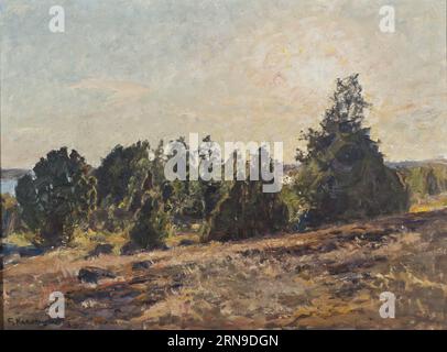 Gegen Abend. Horsö im Tjust-Archipel 1932 von Gottfrid Kallstenius Stockfoto