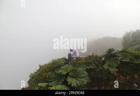 (151202) -- POAS, 2. Dez. 2015 -- Ein Tourist beobachtet den Hauptkrater, umgeben von dem tropischen Nebelwald im Poas Volcano Nationalpark, Provinz Alajuela, 45 km nordwestlich von San Jose, Hauptstadt von Costa Rica, am 30. November 2015. Der Poas Volcano National Park, gegründet am 25. Januar 1971, ist der älteste und meistbesuchte Touristenpark des Landes. COSTA RICA-ENVIRONMENT-POAS-VOLCANO NATIONAL PARK KentxGilbert PUBLICATIONxNOTxINxCHN Poas DEC 2 2015 ein Tourist beobachtet den Hauptkrater umgeben vom Tropischen Wolkenwald im Poas Volcano National Park Provinz Alajuela 45 km nordwestlich Stockfoto