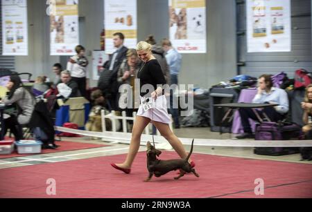 (151220) -- VILNIUS, 20. Dezember 2015 -- Ein Hund wird auf einer internationalen Hundeausstellung in Vilnius, Litauen, am 20. Dezember 2015 gesehen. Vom 19. Dezember bis 20. Dezember findet in Litauens Hauptstadt Vilnius eine internationale Hundeausstellung statt, in der mehr als 1800 Hunde aus Litauen, Finnland, Russland, Deutschland, Polen usw. zusammenkommen.) LITAUEN-VILNIUS-INTERNATIONALE HUNDEAUSSTELLUNG AlfredasxPliadis PUBLICATIONxNOTxINxCHN 151220 Vilnius DEZ 20 2015 A Dog IS Lakes AT to to International Dog Exhibition in Vilnius Litauen DEZ 20 2015 to International Dog Exhibition IS Hero in Litauen S Capital of Vilnius vom DEZ 19 Stockfoto