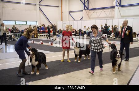 (151220) -- VILNIUS, 20. Dezember 2015 -- Menschen mit ihren Hunden nehmen an einer Ausstellung in Vilnius, Litauen, 20. Dezember 2015 Teil. Vom 19. Dezember bis 20. Dezember findet in Litauens Hauptstadt Vilnius eine internationale Hundeausstellung statt, in der mehr als 1800 Hunde aus Litauen, Finnland, Russland, Deutschland, Polen usw. zusammenkommen.) LITAUEN-VILNIUS-INTERNATIONALE HUNDEAUSSTELLUNG AlfredasxPliadis PUBLICATIONxNOTxINxCHN 151220 Vilnius DEZ 20 2015 Prominente mit ihren Hunden nehmen an der Ausstellung in Vilnius Teil Litauen DEZ 20 2015 zur Internationalen Hundeausstellung IST Held in Litauen S Hauptstadt Vilnius fr Stockfoto