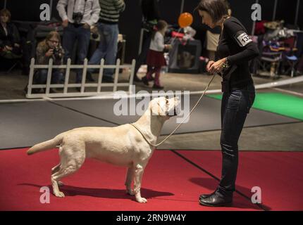 (151220) -- VILNIUS, 20. Dezember 2015 -- Ein Hund wird auf einer internationalen Hundeausstellung in Vilnius, Litauen, am 20. Dezember 2015 gesehen. Vom 19. Dezember bis 20. Dezember findet in Litauens Hauptstadt Vilnius eine internationale Hundeausstellung statt, in der mehr als 1800 Hunde aus Litauen, Finnland, Russland, Deutschland, Polen usw. zusammenkommen.) LITAUEN-VILNIUS-INTERNATIONALE HUNDEAUSSTELLUNG AlfredasxPliadis PUBLICATIONxNOTxINxCHN 151220 Vilnius DEZ 20 2015 A Dog IS Lakes AT to to International Dog Exhibition in Vilnius Litauen DEZ 20 2015 to International Dog Exhibition IS Hero in Litauen S Capital of Vilnius vom DEZ 19 Stockfoto