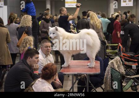 (151220) -- VILNIUS, 20. Dezember 2015 -- Ein Hund wird auf einer internationalen Hundeausstellung in Vilnius, Litauen, am 20. Dezember 2015 gesehen. Vom 19. Dezember bis 20. Dezember findet in Litauens Hauptstadt Vilnius eine internationale Hundeausstellung statt, in der mehr als 1800 Hunde aus Litauen, Finnland, Russland, Deutschland, Polen usw. zusammenkommen.) LITAUEN-VILNIUS-INTERNATIONALE HUNDEAUSSTELLUNG AlfredasxPliadis PUBLICATIONxNOTxINxCHN 151220 Vilnius DEZ 20 2015 A Dog IS Lakes AT to to International Dog Exhibition in Vilnius Litauen DEZ 20 2015 to International Dog Exhibition IS Hero in Litauen S Capital of Vilnius vom DEZ 19 Stockfoto