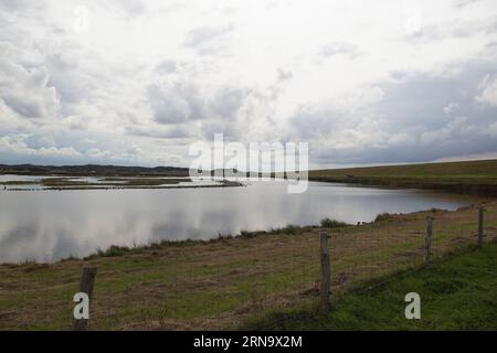 Stark bewölkt. See hinter dem Deich in der Nähe der Nordsee mit Brackwasser. Vogelparadijs de Putten. Niederlande Stockfoto