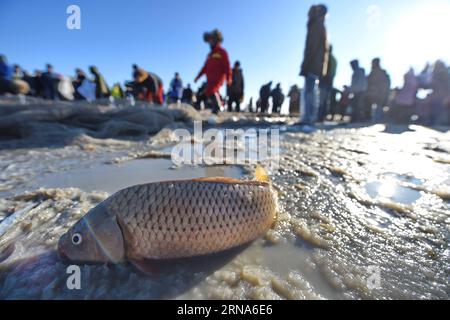 (160109) -- SONGYUAN, 8. Januar 2016 -- Touristen versammeln sich, um Fischfang auf dem Chagan See in der Stadt Songyuan, nordöstliche chinesische Provinz Jilin, 8. Januar 2016 zu beobachten. Der Chagan Lake, der für seine traditionelle Winterfischerei aus prähistorischer Zeit bekannt ist, ist der einzige Ort, an dem die älteste mongolische Fischfangmethode bewahrt wird. Während des jährlichen Winterfischereifestivals, das an die alte Winterfischtradition erinnert, bohren die Fischer zunächst viele Löcher durch das dicke Eis und legen dann ein Netz unter das Eis. Das Netz wird schließlich von einer Pferdezugwinde herausgezogen. Der See hat ein Guinnes gesetzt Stockfoto