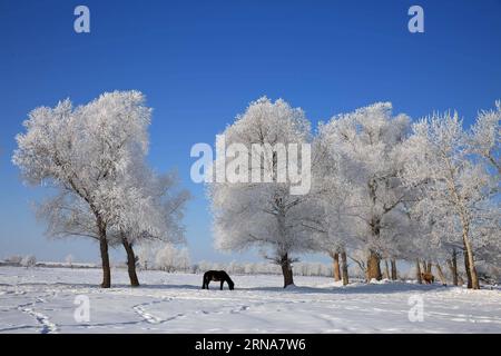 (160112) -- ALTAY, 11. Januar 2016 -- Foto aufgenommen am 11. Januar 2016 zeigt eine reizvolle Landschaft am Kiran River, Altay, nordwestchinesische Autonome Region Xinjiang Uygur. ) (Ry) CHINA-XINJIANG-ALTAY-RIME(CN) YexErjiang PUBLICATIONxNOTxINxCHN 160112 Altay Jan 11 2016 Foto aufgenommen AM 11. Januar 2016 zeigt die Landschaft des Kalbes neben dem Kiran-Fluss Altay Nordwest-China S Xinjiang Uygur Autonomous Region Ry China Xinjiang Altay Rime CN YexErjiang PUBLATIOxCHINxTxXXTxTxN Stockfoto