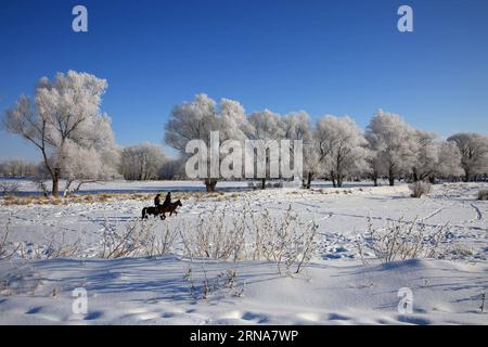 (160112) -- ALTAY, 11. Januar 2016 -- Foto aufgenommen am 11. Januar 2016 zeigt eine reizvolle Landschaft am Kiran River, Altay, nordwestchinesische Autonome Region Xinjiang Uygur. ) (Ry) CHINA-XINJIANG-ALTAY-RIME(CN) YexErjiang PUBLICATIONxNOTxINxCHN 160112 Altay Jan 11 2016 Foto aufgenommen AM 11. Januar 2016 zeigt die Landschaft des Kalbes neben dem Kiran-Fluss Altay Nordwest-China S Xinjiang Uygur Autonomous Region Ry China Xinjiang Altay Rime CN YexErjiang PUBLATIOxCHINxTxXXTxTxN Stockfoto