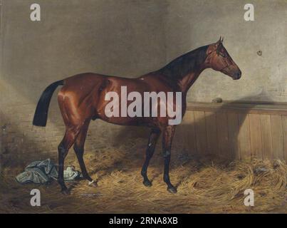 Melton, ein Bay Racehorse, in einem Stall 1885 von Emil Adam Stockfoto