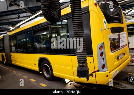 Berlin, Deutschland. 30. August 2023. BVG-Busse werden in der Werkstatt des Lichtenberger Betriebes der Berliner Verkehrsbetriebe (BVG) geparkt. Quelle: Fabian Sommer/dpa/Alamy Live News Stockfoto