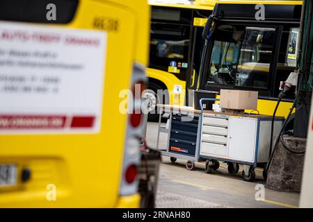 Berlin, Deutschland. 30. August 2023. BVG-Busse werden in der Werkstatt des Lichtenberger Betriebes der Berliner Verkehrsbetriebe (BVG) geparkt. Quelle: Fabian Sommer/dpa/Alamy Live News Stockfoto