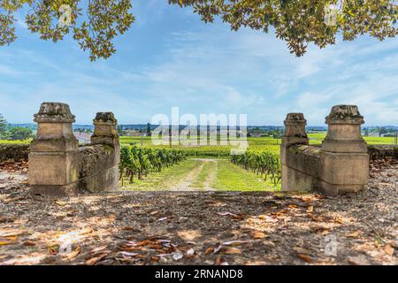 Ein malerischer Blick auf den Eingang eines Weinbergs, der im Sonnenlicht mit kristallblauem Himmel im Hintergrund getaucht ist Stockfoto