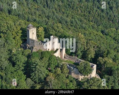 LUFTAUFNAHME. Schloss Bernstein. Dambach-la-Ville, Unterrhein, Elsass, Grand Est, Frankreich. Stockfoto