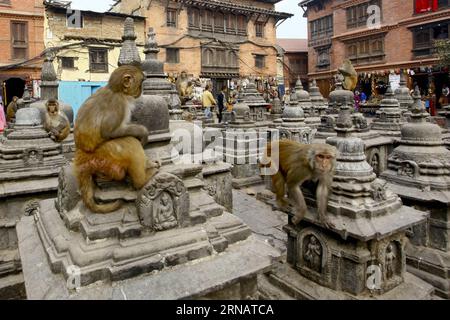 (160206) -- KATHMANDU, 6. Februar 2016 -- Affen spielen im Swayambhunath Stupa, allgemein bekannt als der Affentempel in Kathmandu, Hauptstadt Nepals, 6. Februar 2016. Der chinesische Mondkalender weist jedem Jahr in einem 12-Jahres-Zyklus ein Tiersymbol zu. Laut dem Tierkreiszeichen ist 2016 das Jahr des Affen ab dem 8. Februar. )(azp) NEPAL-KATHMANDU-MONKEY-CHINESE NEW YEAR PratapxThapa PUBLICATIONxNOTxINxCHN KATHMANDU Feb 6 2016 Affen Spielen IM Swayambhunath Stupa, allgemein bekannt als der Affentempel in Kathmandu Hauptstadt von Nepal Feb 6 2016 der chinesische Mondkalender weist Tiersymbol zu Stockfoto