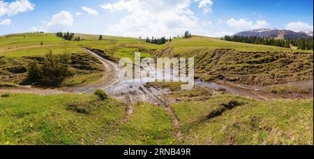 Sanfte Hügel und grüne grasbewachsene Wiesen der transkarpatischen Landschaft. Atemberaubende Aussicht auf majestätische schneebedeckte Berge in der Ferne. Ländliches Land Stockfoto