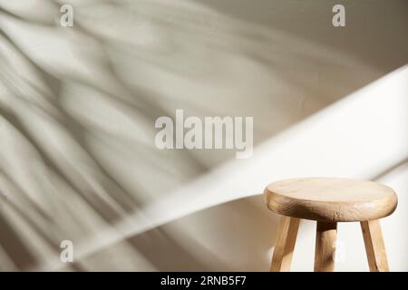 Verschiedene Requisiten mit herbstlicher Atmosphäre im warmen Nachmittagslicht. Stockfoto