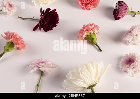 Weiße, rote und rosafarbene Blumen mit Kopierraum auf weißem Hintergrund Stockfoto
