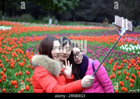 (160224) -- CHONGQING, 24. Februar 2016 -- Besucher nehmen ein Selfie mit blühenden Tulpen in einem Blumenpark im Yubei District unter Chongqing, Südwestchina, 24. Februar 2016. ) (Yxb) CHINA-CHONGQING-TULIP(CN) ZhongxGuilin PUBLICATIONxNOTxINxCHN CHONGQING 24. Februar 2016 Besucher nehmen ein Selfie mit blühenden TULPEN in einem Flower Park im Yubei Bezirk unter Chongqing Südwest China 24. Februar 2016 yxb China Chongqing TULPE CN ZhongxGuilin PUCHINxBLXN Stockfoto