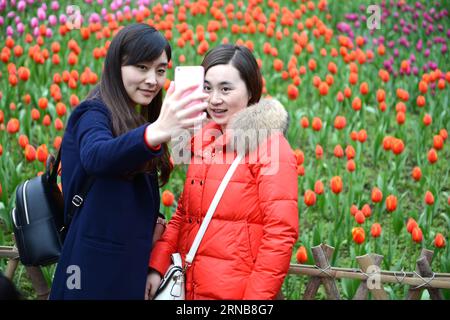 (160224) -- CHONGQING, 24. Februar 2016 -- Besucher nehmen ein Selfie in einem Blumenpark im Yubei District unter Chongqing, Südwestchina, 24. Februar 2016. ) (Yxb) CHINA-CHONGQING-TULIP(CN) ZhongxGuilin PUBLICATIONxNOTxINxCHN CHONGQING 24. Februar 2016 Besucher nehmen ein Selfie IN einem Blumenpark im Yubei-Bezirk unter Chongqing Südwestchina 24. Februar 2016 yxb China Chongqing Tulip CN ZhongxGuilin PUBLICATINxCHN Stockfoto