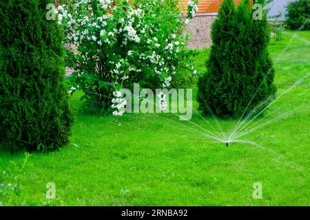 Sammer im Garten. Automatische Bewässerung des grünen Rasens Stockfoto