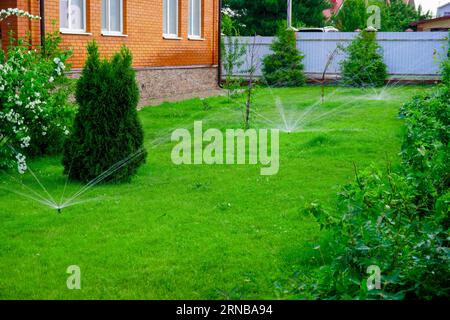 Sammer im Garten. Automatische Bewässerung des grünen Rasens Stockfoto