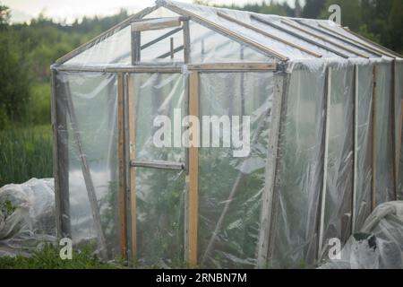 Gewächshaus für Pflanzen. Gewächshaus im Garten. Platz für Tomaten. Stockfoto