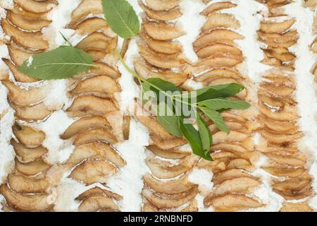 Apfelkuchen. Minze in Apfelkuchen. Leckeres Gebäck. Stockfoto