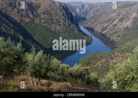 Aldeadavila Damm, Rupitin Lookout, Las Arribes del Duero, Salamanca, Castilla y Leon, Spanien Stockfoto