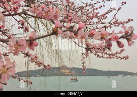 (160319) -- PEKING, 19. März 2016 -- Foto aufgenommen am 19. März 2016 zeigt die blühenden Pfirsichblüten im Sommerpalast in Peking, der Hauptstadt Chinas. Pfirsichblüten und Magnolienblüten blühen mit steigender Temperatur und ziehen viele Besucher an. ) (mp) CHINA-BEIJING-SUMMER PALACE (CN) LixXin PUBLICATIONxNOTxINxCHN Peking 19. März 2016 Foto aufgenommen AM 19. März 2016 zeigt die blühenden Pfirsichblüten IM Sommerpalast in Peking Hauptstadt von China Pfirsichblüten und Magnolienblüten waren in voller Blüte, wenn die Temperatur steigt und viele Prominente zu Besuch anzieht Stockfoto