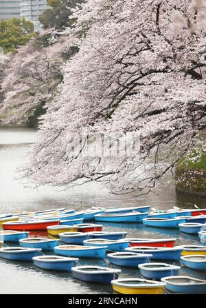 (160401) -- TOKIO, 1. April 2016 -- Foto aufgenommen am 1. April 2016 zeigt Kirschblüten in voller Blüte neben dem Chidorigafuchi-Graben in Tokio, Japan. ) JAPAN-TOKIO-KIRSCHBLÜTEN LiuxTian PUBLICATIONxNOTxINxCHN Tokio April 1 2016 Foto aufgenommen AM 1. April 2016 zeigt Kirschblüten in voller Blüte neben Chidorigafuchi Graben in Tokio Japan Tokio Kirschblüten LiuxTian PUBLICATIONxNOTxINxCHN Stockfoto
