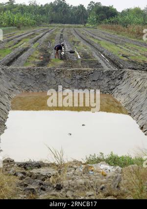 (160402) -- HO CHI MINH STADT, 2. April 2016 -- die Einheimischen graben Teiche, um Süßwasser in der Provinz Can Tho, Vietnam, 26. März 2016 zu reservieren. Aufgrund des starken Einflusses des El-Nino-Phänomens ist das Mekong-Delta im Süden Vietnams seit Ende 2015 einer Jahrhunderttrockenheit ausgesetzt, die das Leben der Menschen vor Ort schwer beeinträchtigt hat. Das Mekong-Delta, Vietnams größte und fruchtbarste Ebene, hat eine Fläche von über 40.000 Quadratkilometern und umfasst 13 Provinzen und Städte. ) VIETNAM-MEKONG DELTA-DÜRRE VNA PUBLICATIONxNOTxINxCHN Ho Chi Minh City 2. April 2016 Lokale Prominente graben Teiche nach R Stockfoto