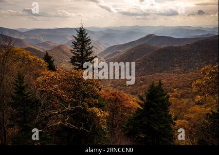 Brown und Orange Valley im Herbst in den Blue Ridge Mountains im Spätherbst Stockfoto