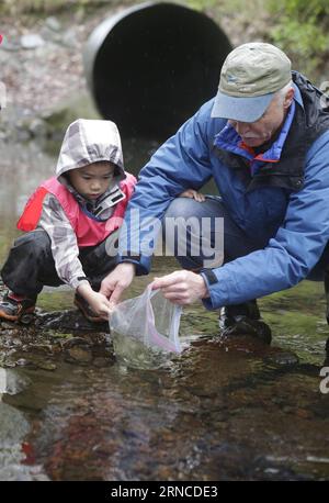(160406) -- VANCOUVER, 5. April 2016 -- Ein Kind setzt jungen Lachs mit Hilfe eines Umweltforschers am Guichon Creek in Burnaby, Kanada, am 5. April 2016 in den Wasserweg. Forscher des Rivers Institute of British Columbia Institute of Technology (BCIT) und eine Gruppe von Kindern geben etwa 20.000 junge Lachse in Burnaby s Guichon Creek frei, um die ökologische Umwelt zu testen und zu zeigen, wie erfolgreich die Wiederherstellung des Baches in den letzten Jahrzehnten war. ) CANADA-VANCOUVER-ENVIRONMENT LiangxSen PUBLICATIONxNOTxINxCHN Vancouver 5. April 2016 A Child veröffentlicht Juv Stockfoto