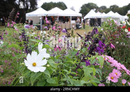 Safran Walden, Großbritannien. September 2023. Die BBC Gardeners' World Autumn Fair findet im Audley End House and Gardens in Essex statt. Eine der wunderschönen Rahmen zeigt „Make it Flourish together“, entworfen von Cara Thompson. Radio: Eastern Views/Alamy Live News Stockfoto