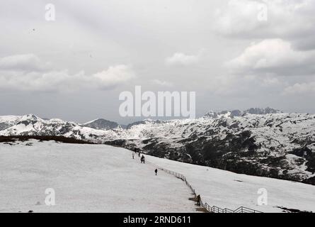 (160505) -- SHANGRI-LA, 3. Mai 2016 -- Touristen besuchen den Shika Snow Mountain in Shangri-la, südwestchinesische Provinz Yunnan, 3. Mai 2016. Die Höhe des höchsten Gipfels des Shika Snow Mountain beträgt 4.449,5 Meter über dem Meeresspiegel, während das niedrigste Napa-Grasland 3.270 Meter über dem Meeresspiegel liegt. Eine Vielzahl von Naturlandschaften zog hier eine große Anzahl von Touristen an. )(mcg) CHINA-YUNNAN-SHANGRI-LA-SCENERY (CN) YangxZongyou PUBLICATIONxNOTxINxCHN 160505 Shangri La 3. Mai 2016 Touristen besuchen den Shika Snow Mountain in Shangri La Südwest China S Yunnan Provinz 3. Mai 2016 The Altitud Stockfoto