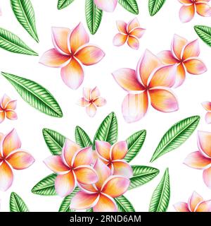Nahtloses Aquarellmuster mit realistischer tropischer Illustration von Plumerieblumen mit Blättern isoliert auf weißem Hintergrund. Wunderschöner botanischer han Stockfoto
