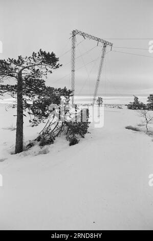 04 - 02 - 1974: Harte Arbeit in der Heide in der Nacht vom 7. Januar haben die Wettergötter Südnorwegen getroffen und das Stromnetz verwüstet. Am schlimmsten getroffen wurde die Brokke-Linie in den Mooren östlich von Byglandsfjord. Foto: Sverre A. Børretzen / aktuell / NTB ***FOTO NICHT VERARBEITET*** dieser Text wurde automatisch übersetzt! Stockfoto