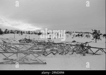 04 - 02 - 1974: Harte Arbeit in der Heide in der Nacht vom 7. Januar haben die Wettergötter Südnorwegen getroffen und das Stromnetz verwüstet. Am schlimmsten getroffen wurde die Brokke-Linie in den Mooren östlich von Byglandsfjord. Foto: Sverre A. Børretzen / aktuell / NTB ***FOTO NICHT VERARBEITET*** dieser Text wurde automatisch übersetzt! Stockfoto