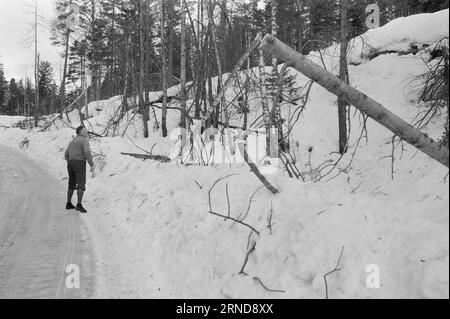 04 - 02 - 1974: Harte Arbeit in der Heide in der Nacht vom 7. Januar haben die Wettergötter Südnorwegen getroffen und das Stromnetz verwüstet. Am schlimmsten getroffen wurde die Brokke-Linie in den Mooren östlich von Byglandsfjord. Foto: Sverre A. Børretzen / aktuell / NTB ***FOTO NICHT VERARBEITET*** dieser Text wurde automatisch übersetzt! Stockfoto