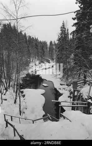 Heute 03 - 3 - 1974: Sie fanden ihren Platz vor zwölf Jahren zogen John und Pål von der Stadt bis zum Fluss. Die Stadt wurde ihnen zu schwer. Sie bauten sich in den Skauen Hütten und bekamen dafür ein Angelbecken und einen Badeplatz. Die beiden alten Menschen haben ein unangenehmes Leben geführt, aber jetzt haben sie einen Ort gefunden, wo Frieden herrscht und sie können ihre eigenen Herren sein. Sie leben von doppelter kommunaler Gnade. Die Kabine befindet sich an der Grenze zwischen Oslo und Bærum. Sie sammeln Wasser in einem Eimer direkt aus der Lysakerelva. Ein schönes Leben, denken beide. Foto: Ivar Aaserud / Aktuell Stockfoto