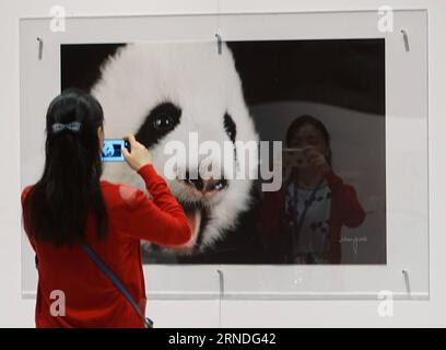 (160519) -- HONG KONG, 19. Mai 2016 -- Ein Besucher macht Fotos auf der riesigen Panda-Weltkunstausstellung Tour im Hong Kong Ocean Park in Hong Kong, Südchina, 19. Mai 2016. Die Sichuan Week & Riesen Panda World Art Exhibition Tour wird vom 20. Bis 29. Mai im Park eröffnet. ) (Zkr) CHINA-HONG KONG-SICHUAN-PANDA(CN) NgxWingxKin PUBLICATIONxNOTxINxCHN 160519 Hong KONG 19. Mai 2016 ein Besucher macht Fotos AUF der Giant Panda World Art Exhibition Tour im Hong Kong Ocean Park in Hong Kong South China 19. Mai 2016 die Sichuan Week & Giant Panda World Art Exhibition Tour wird im eröffnet Park vom 20. Mai bis Stockfoto