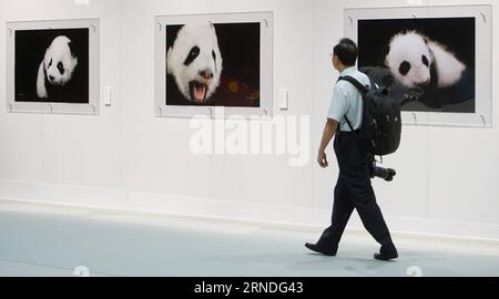 (160519) -- HONG KONG, 19. Mai 2016 -- Ein Besucher schaut sich Fotos von Riesen-Panda an, die vom Fotografen Zhang Zhihe auf der Weltkunstausstellung Riesen-Panda im Hong Kong Ocean Park in Hong Kong, Südchina, 19. Mai 2016 aufgenommen wurden. Die Sichuan Week & Riesen Panda World Art Exhibition Tour wird vom 20. Bis 29. Mai im Park eröffnet. ) (Zkr) CHINA-HONG KONG-SICHUAN-PANDA(CN) NgxWingxKin PUBLICATIONxNOTxINxCHN 160519 Hong KONG 19. Mai 2016 ein Besucher sieht sich Fotos des Riesenpandas von Foto Zhang Zhihe AUF der Giant Panda World Art Exhibition Tour im Hong Kong Ocean Park in Hong Kong SÜDCHINA 19. Mai 2016 Stockfoto