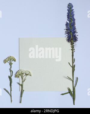 Getrocknete gepresste Blumen mit einer leeren goldenen Karte Stockfoto
