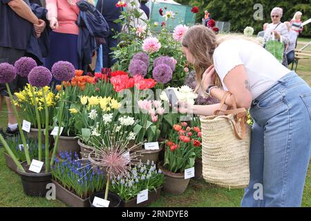 Safran Walden, Großbritannien. September 2023. Die BBC Gardeners' World Autumn Fair findet im Audley End House and Gardens in Essex statt. Radio: Eastern Views/Alamy Live News Stockfoto