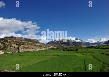 (160605) -- TIBET, 5. Juni 2016 -- Foto aufgenommen am 4. Juni 2016 zeigt Gletscher und Ackerland in der Nähe des Ranwu-Sees im Basu County von Chamdo City, südwestchinesische Autonome Region Tibet. ) (wx) CHINA-TIBET-RANWU SEENLANDSCHAFT (CN) ZhangxRufeng PUBLICATIONxNOTxINxCHN 160605 Tibet 5. Juni 2016 Foto aufgenommen AM 4. Juni 2016 zeigt Gletscher und Ackerland in der Nähe des Ranwu Sees im Basu County Chamdo City Südwesten Chinas S Tibet Autonome Region wx China Tibet Ranwu Seenlandschaft CN ZhangxRufeng PUBLATxCHINxN Stockfoto