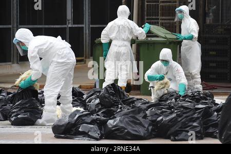 (160607) -- HONGKONG, 7. Juni 2016 -- Mitarbeiter des Landwirtschafts-, Fischerei- und Naturschutzministeriums (AFCD) der Sonderverwaltungsregion Hongkong (SAR), Regierung, schlachten Geflügel auf einem Geflügelgroßhandelsmarkt in Hongkong, Südchina, 7. Juni 2016. Die Regierung der Sonderverwaltungsregion Hongkong (SAR) beschloss am Sonntag, den Handel mit lebendem Geflügel auszusetzen, nachdem die Vogelgrippe H7N9 durch Stichproben auf einem lokalen Straßenmarkt festgestellt wurde. ) (Zwx) CHINA-HONG KONG-LEBENDES GEFLÜGEL, HANDELSSPERRE AUSGESETZT(CN) LuixSiuxWai PUBLICATIONxNOTxINxCHN 160607 Hongkong 7. Juni 2016 Personal der Abteilung Landwirtschaft Fischerei an Stockfoto