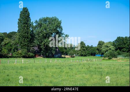 Blick über Ackerland und Gras auf die deutsche Landschaft rund um Viersen, Nordrhein-Westfalen, Deutschland Stockfoto
