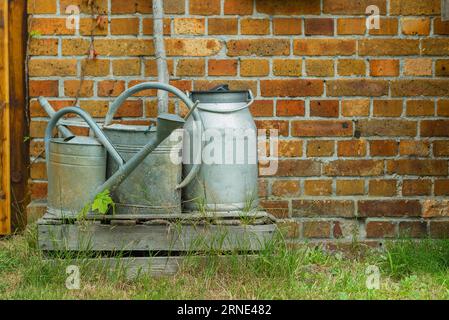 Zwei Gießkannen und eine Milchkanne stehen an einer Ziegelwand Stockfoto