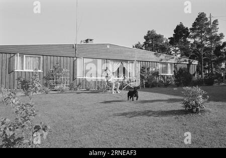 Aktuell 26 - 6 - 1974: Aber die Konvoi-Stadt blüht.es fehlte nicht an düsteren Vorhersagen, aber Convoibyen steht heute als blühendes Denkmal für Leif Heimstads Idee einer separaten Lebensumgebung für Kriegssegler. Foto: Ivar Aaserud / aktuell / NTB ***FOTO NICHT VERARBEITET*** dieser Text wurde automatisch übersetzt! Stockfoto