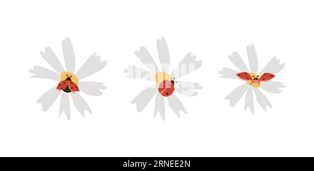 Niedliche Liebeskäfer oder Vögel auf Kamillenblüten Stock Vektor